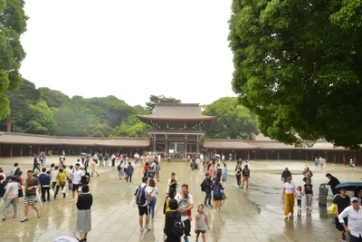 DSC_3309 (Large).JPG